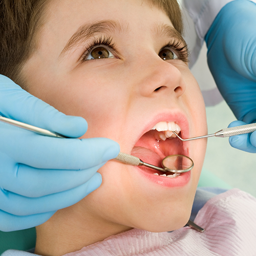 Young child having teeth examined