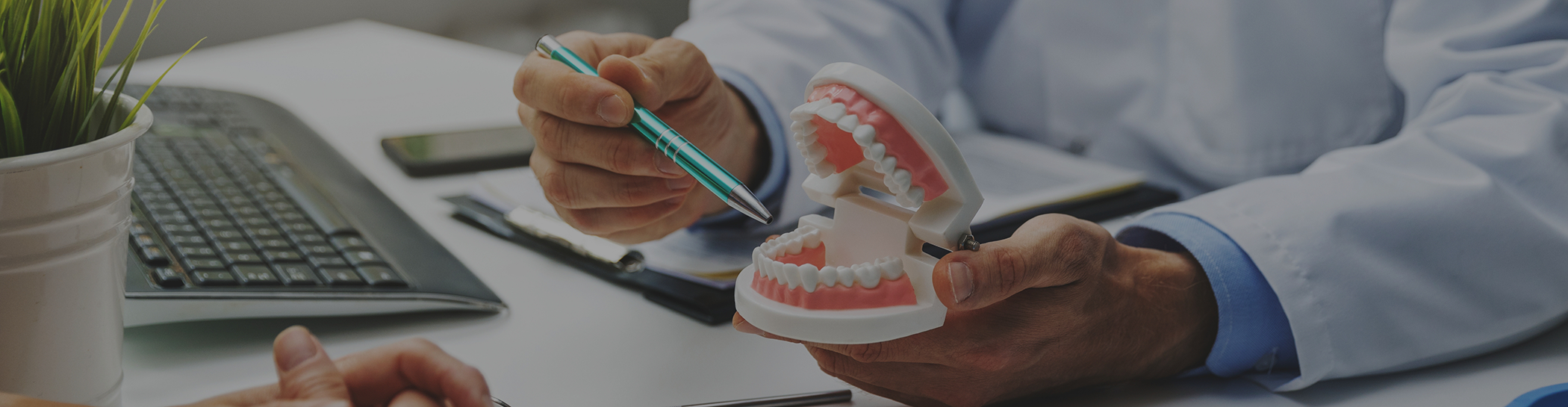 Close up of dentist examining model of teeth in front of keyboard