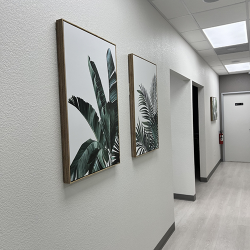 Pictures of plants on walls in hall of dental office